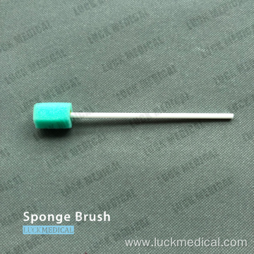 Disposable Cleaning Sponge Brush